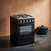 Gas Range with Double-Layer Glass Door, 4 Burners, Cast Iron Rack, 60L Capacity, Dedicated LPG — Studio Shot