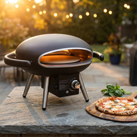 Propane Outdoor Pizza Oven Gas Pizza Oven — Studio Shot