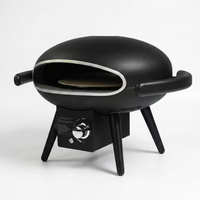Propane Outdoor Pizza Oven Gas Pizza Oven — Studio Shot