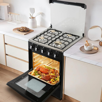 Gas Range Designed for Compact Kitchens, 4 Burners, Double-Layer Glass Door, 60L Capacity
